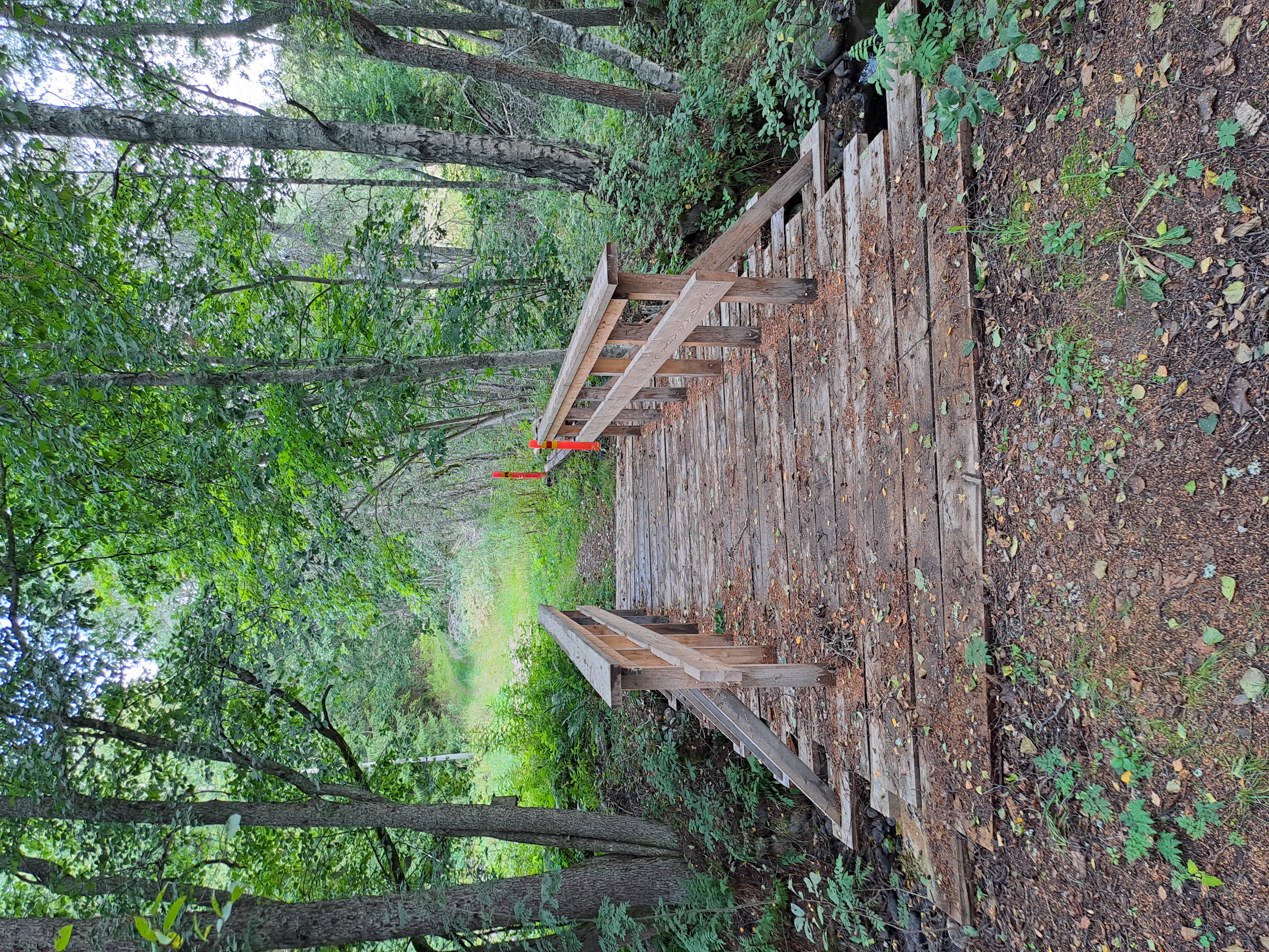 a bridge which leads to a meadow
